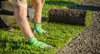 The ‘3 Greens’ of Landscaping