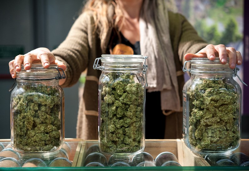 Glass jar full of Cannabis Sativa for sale at a market stall.