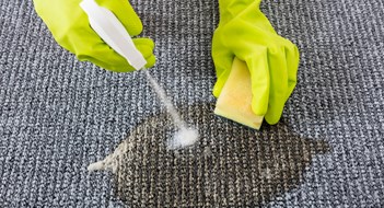 Person Hand Wearing Gloves Spraying Detergent On Grey Carpet To Remove Stain
