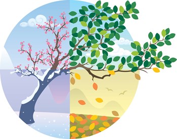 Cartoon illustration representing the cycle of the four seasons.