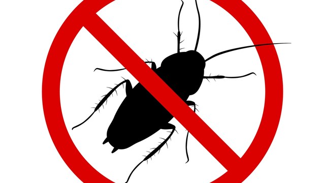 Anti-cockroach icon, pest control, destruction of parasites, stop insect , black contour, isolated, white background