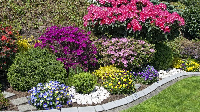 Colorful private flower garden with lots of blooming and blossoming flowers and bushes