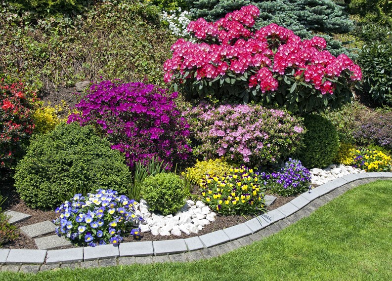 Colorful private flower garden with lots of blooming and blossoming flowers and bushes