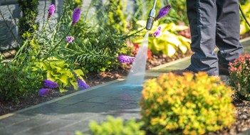 Spring Awakening Pressure Washing Garden Path Closeup Photo. Cleaning Backyard Garden Cobble Pathway.