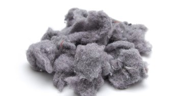 Liability, Responsibility…and Lint Laundry lint from the dryer on white