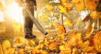 Q&A: Contract Transparency A person is using a leaf blower to clean up a sidewalk in the city. Colorful leaves are swirling around.