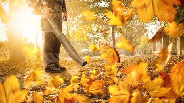 A person is using a leaf blower to clean up a sidewalk in the city. Colorful leaves are swirling around.