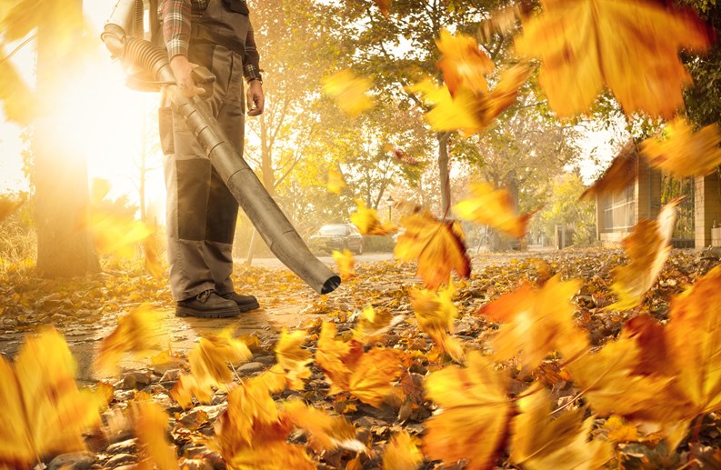 A person is using a leaf blower to clean up a sidewalk in the city. Colorful leaves are swirling around.