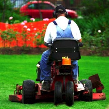 Top Questions to Ask Your Lawn Care Professional