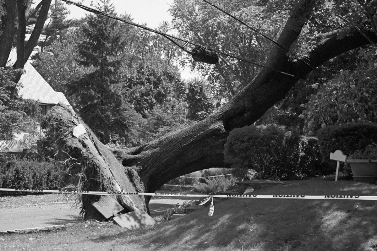 Reaching the Root of the Problem