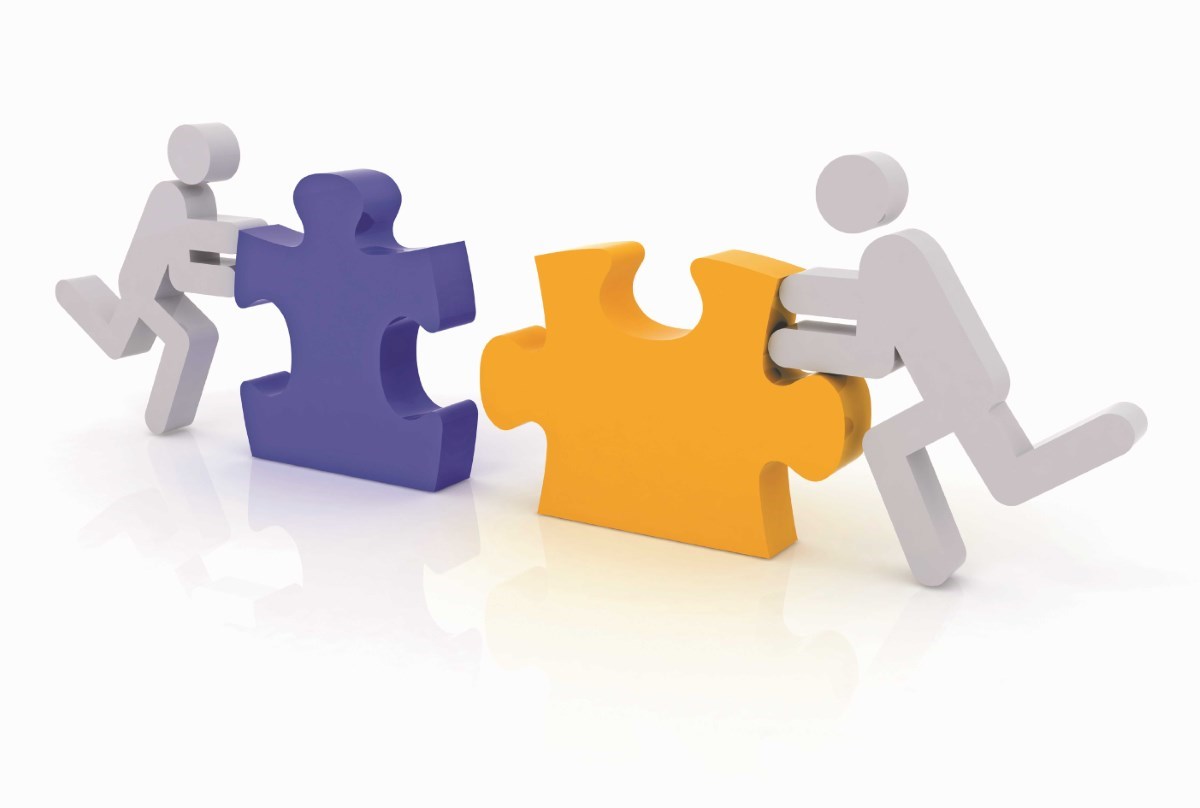 The Management and Board Team