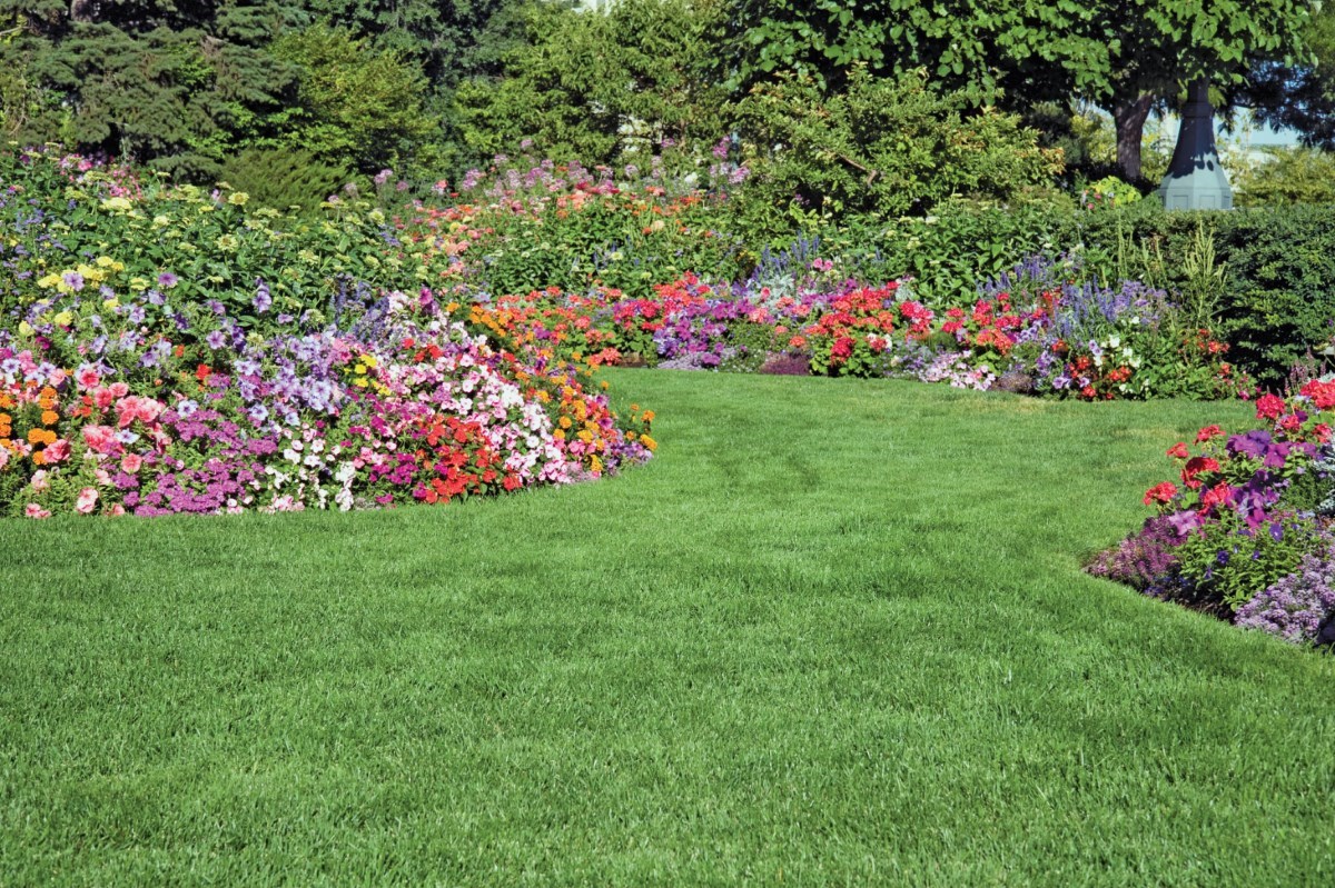 Livening Up Your Landscape