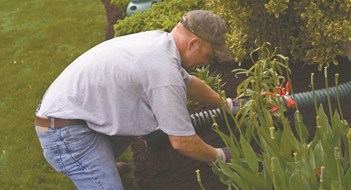 The Manager's Guide to Planting Basics
