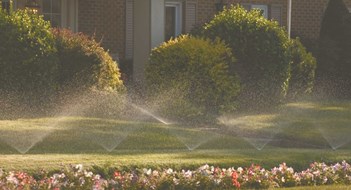 The Irrigation Situation