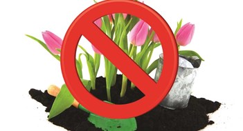 You Can't Plant That Here! You Can't Plant That Here!