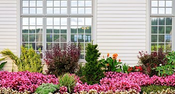 Choosing the Right Plants for Landscaping