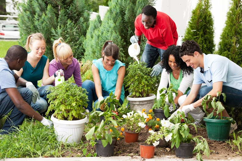 Planning and Maintaining a Community Garden